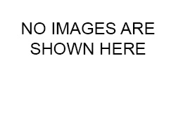 No images here
